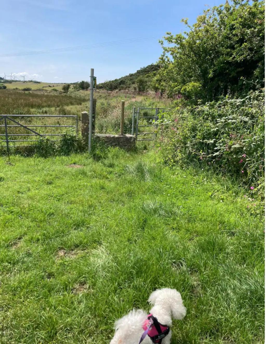 Anglesey Traditional 2 Bed Stone Cottage With Ev 앰루크 외부 사진